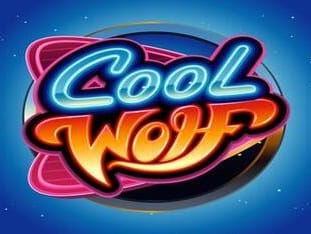 Cool Wolf icon